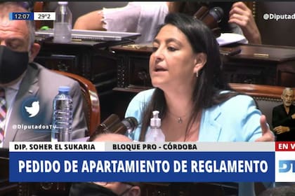 La diputada opositora tuvo un cruce con el presidente de la Cámara, Sergio Massa, por el tiempo durante el que presentaba un apartamiento del reglamento
