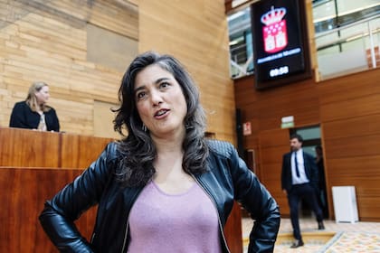 La diputada regional Manuela Bergerot