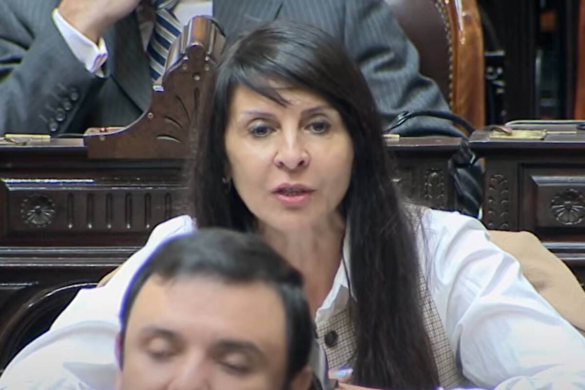 La diputada rionegrina Lorena Villaverde