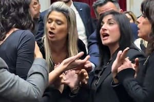 La diputada Santillán discute con legisladoras del bloque kirchnerista