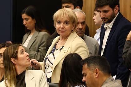 La diputada Silvana Giudici