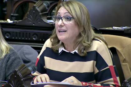 La diputada socialista Mónica Fein esta tarde en el recinto