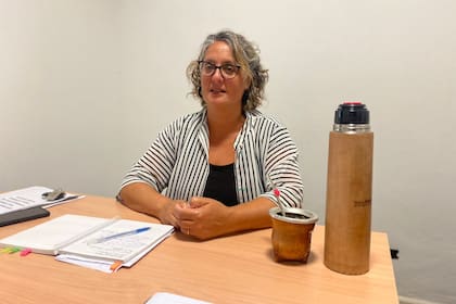 La diputada socialista Rosana Bellati, autora de un pedido de informes al Ministerio de Seguridad de Santa Fe para que investiguen los motivos del fuerte aumento en la tasa de homicidios entre policías de la provincia