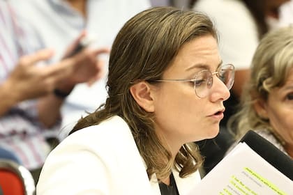 La diputada Vanesa Siley. Plenario de las comisiones de Legislación Laboral y Presupuesto en el debate previo a la sesión en la que el oficialismo buscará que avance la reforma laboral.