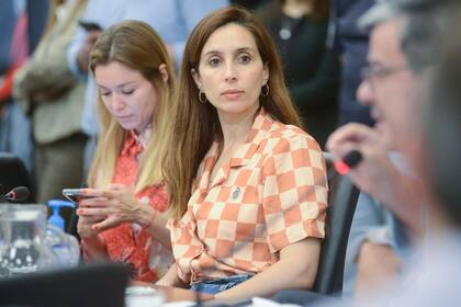 La diputada y pares del bloque del Frente de Todos impulsan gravar a los agroquímicos y fertilizantes no orgánicos para un fondo de agroecología. Foto: Twitter