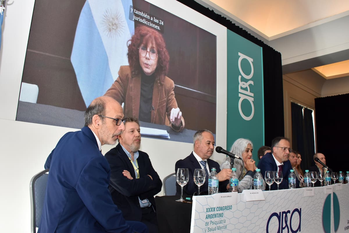 La directora nacional de Salud Mental, Liliana González, en su presentación virtual ante los profesionales