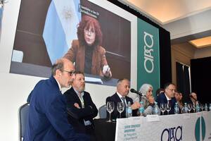 La directora nacional de Salud Mental, Liliana González, en su presentación virtual ante los profesionales