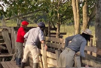 La dirigente conoce esa realidad desde adentro. Hace alrededor de tres años asumió directamente la administración del campo familiar en General San Martín, donde hacen ganadería