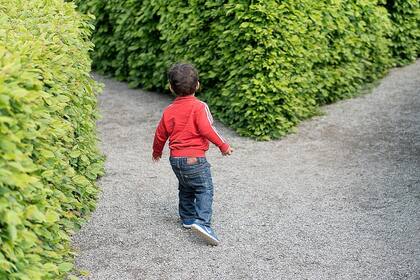La discriminación de izquierda a derecha es algo que los niños pueden aprender rápidamente, según un estudio (Foto: Pixabay)
