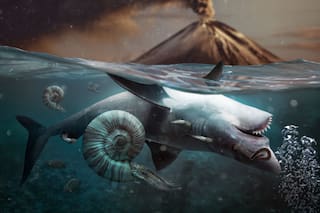 Descubren la causa detrás de la peor catástrofe jamás ocurrida en la Tierra