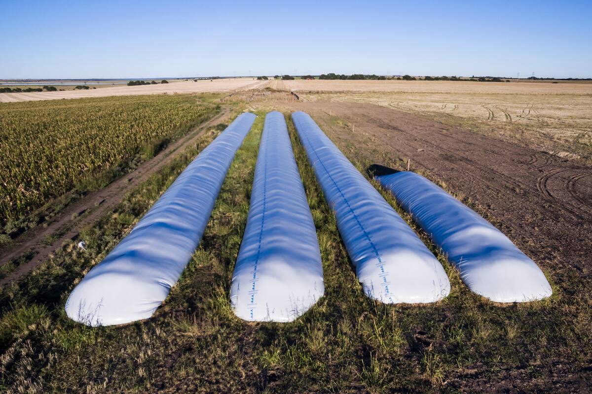 La disposición 9 cosechó apoyo de entidades de la producción y críticas de corredores y otros operadores