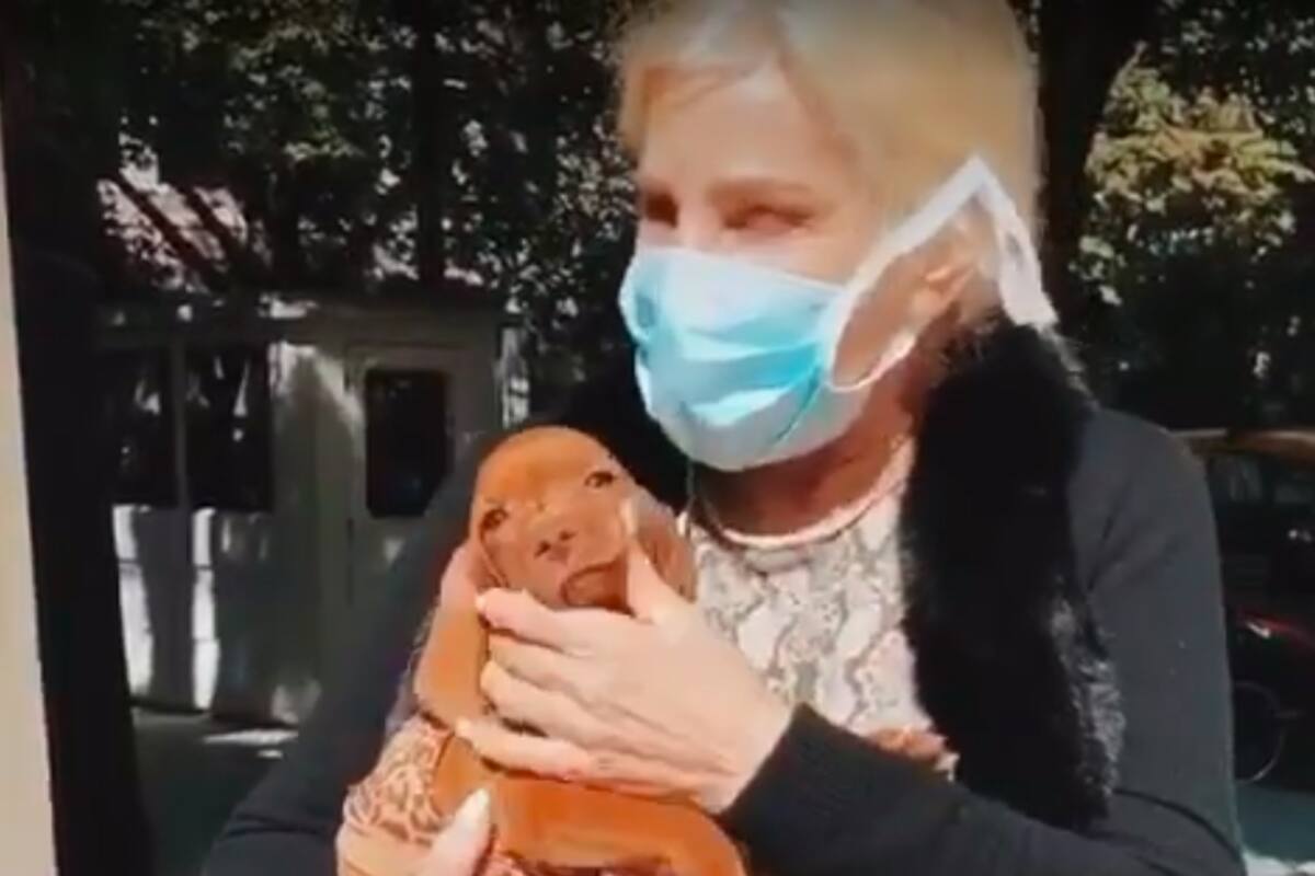 La diva debió tomar una dura decisión con el cachorro que la lastimó con uñas y dientes.
