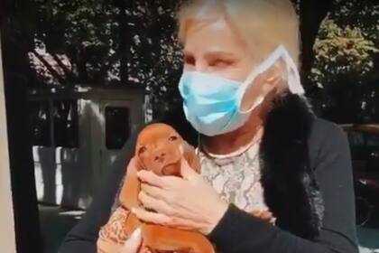 La diva debió tomar una dura decisión con el cachorro que la lastimó con uñas y dientes.