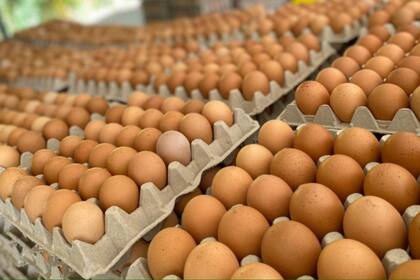 La docena de huevos de gallina subió de $412 a $1247 (203%) en nueve meses