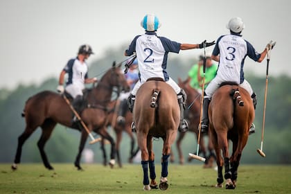 La Dolfina se molestó con los rivales y con los jueces tras una fuerte infracción contra Pablo Mac Donough (3); hasta el siempre tranquilo Poroto Cambiaso (2) ensayó algún reclamo.