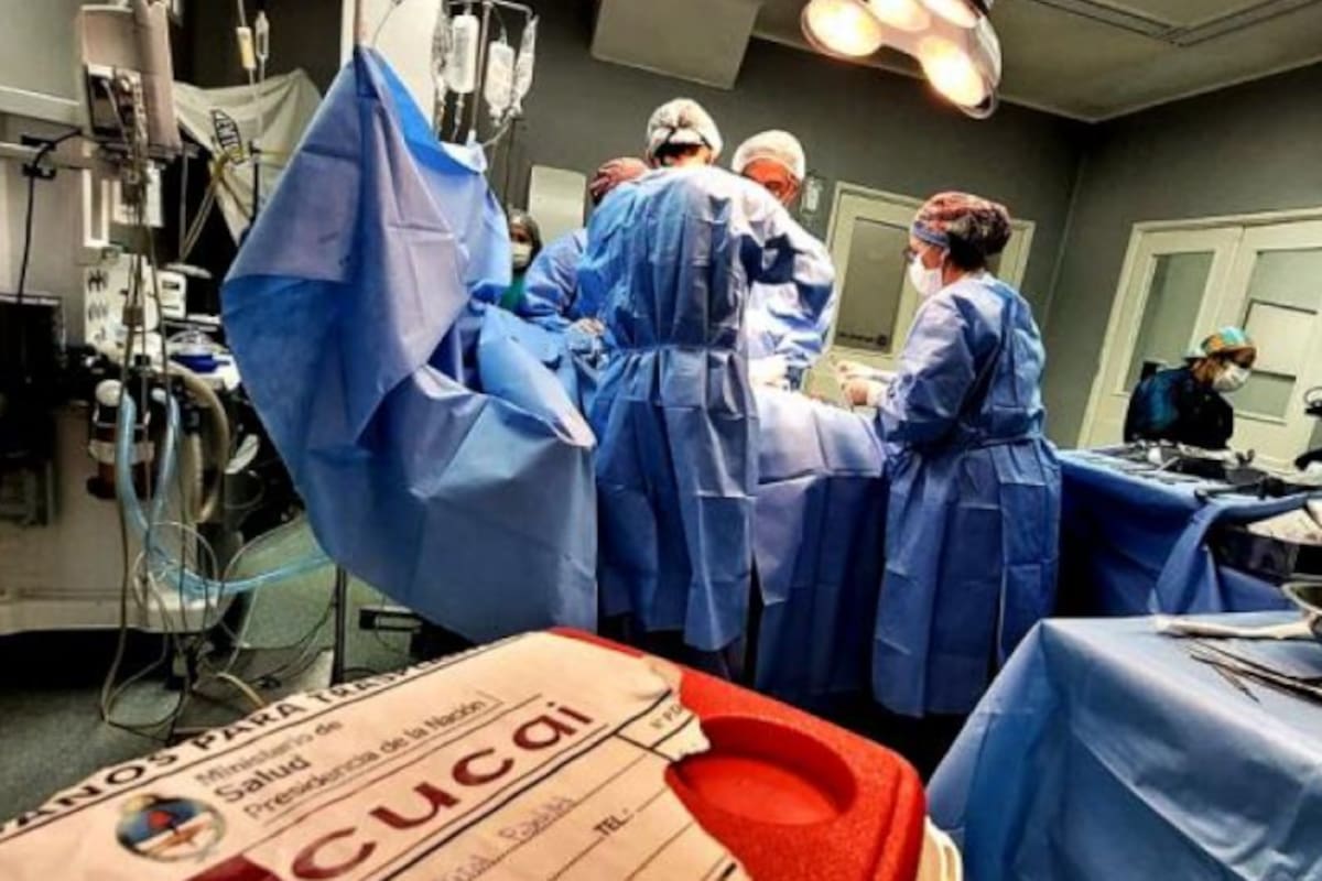 La donación de órganos, una práctica que salva cientos de vidas