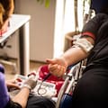 40 años del primer trasplante de médula del país: el hito que cambió la lucha contra la leucemia
