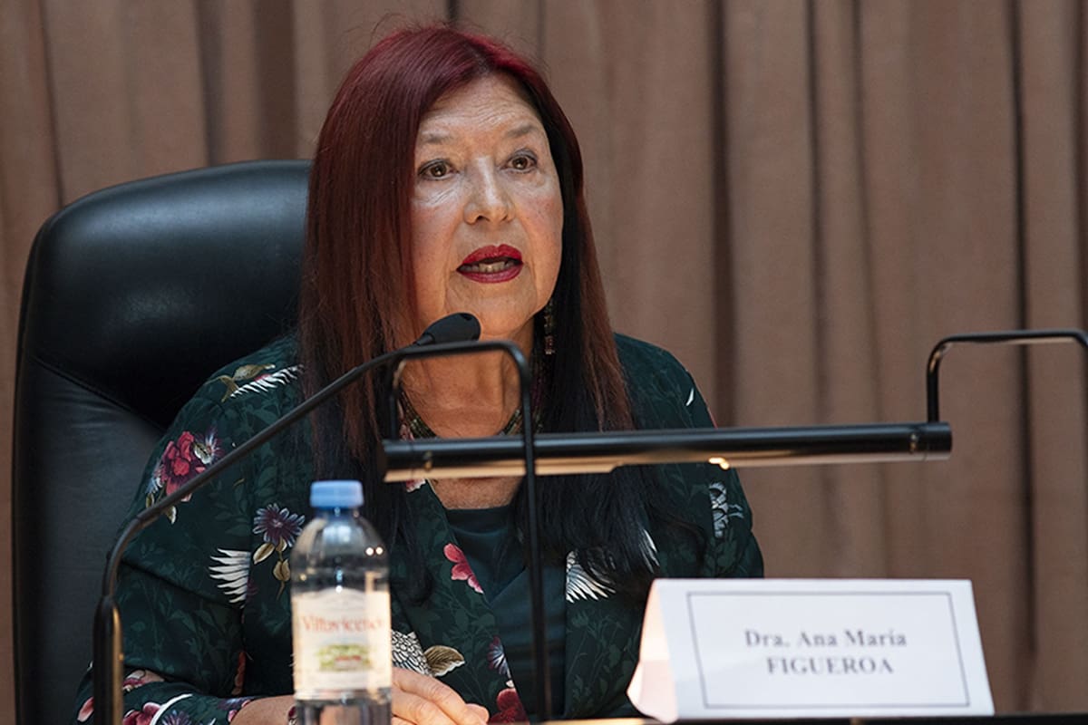 La Dra Ana María Figueroa Jueza de la Cámara Federal de Casación Penal