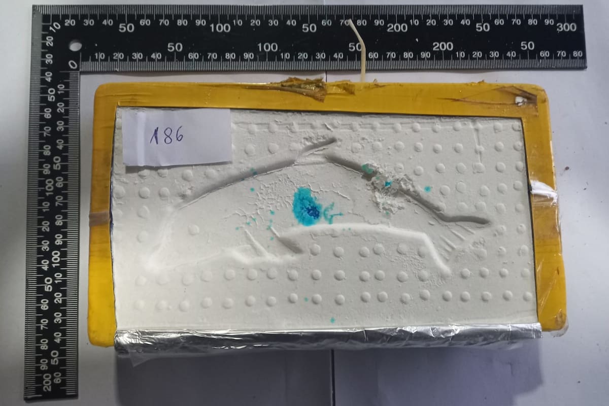 La droga con la marca del delfín secuestrada en Salta