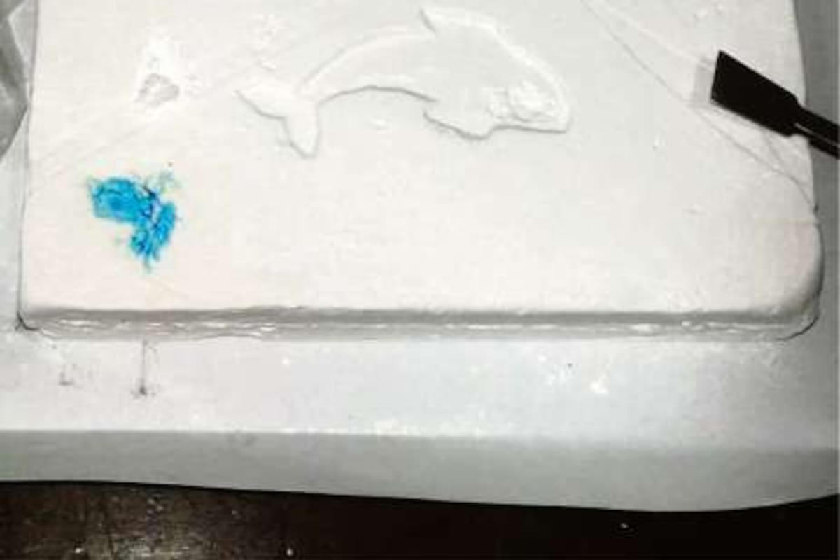 La droga decomisada ayer tenía el logo de un delfín