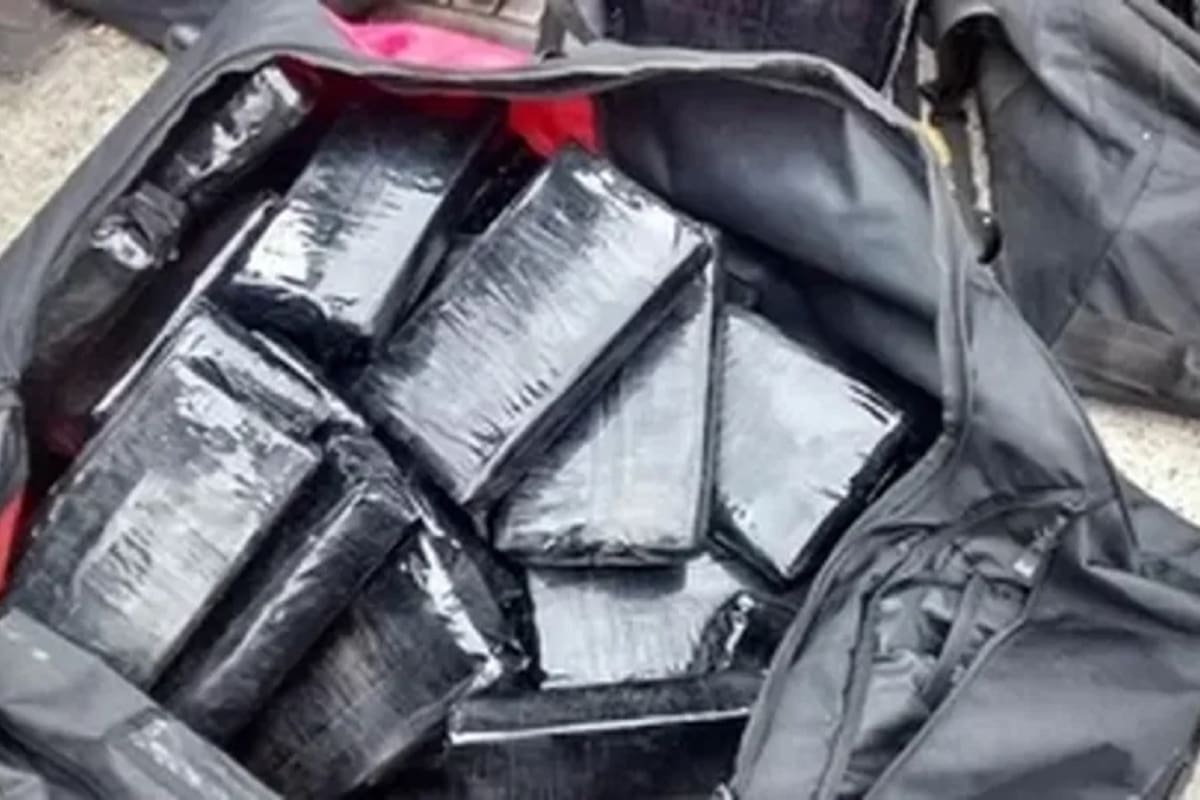 La droga fue encontrada en cinco bolsos