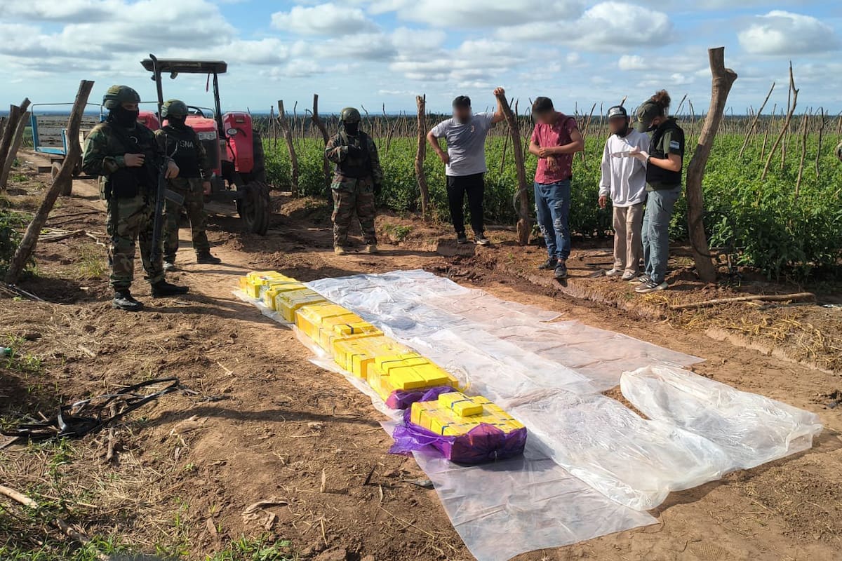 La droga incautada en Colonia Santa Rosa, Salta