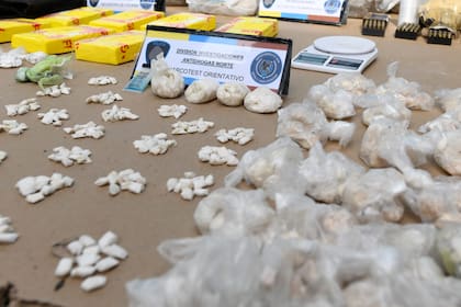 La droga incautada en la villa 31