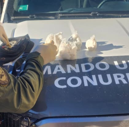 La droga incautada por la policía