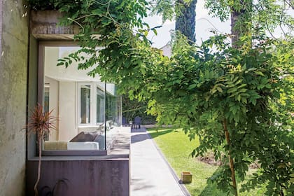 La dueña está esperando a que la glicina crezca un poco más para reconstruir la pérgola que había donde ahora está el family room.