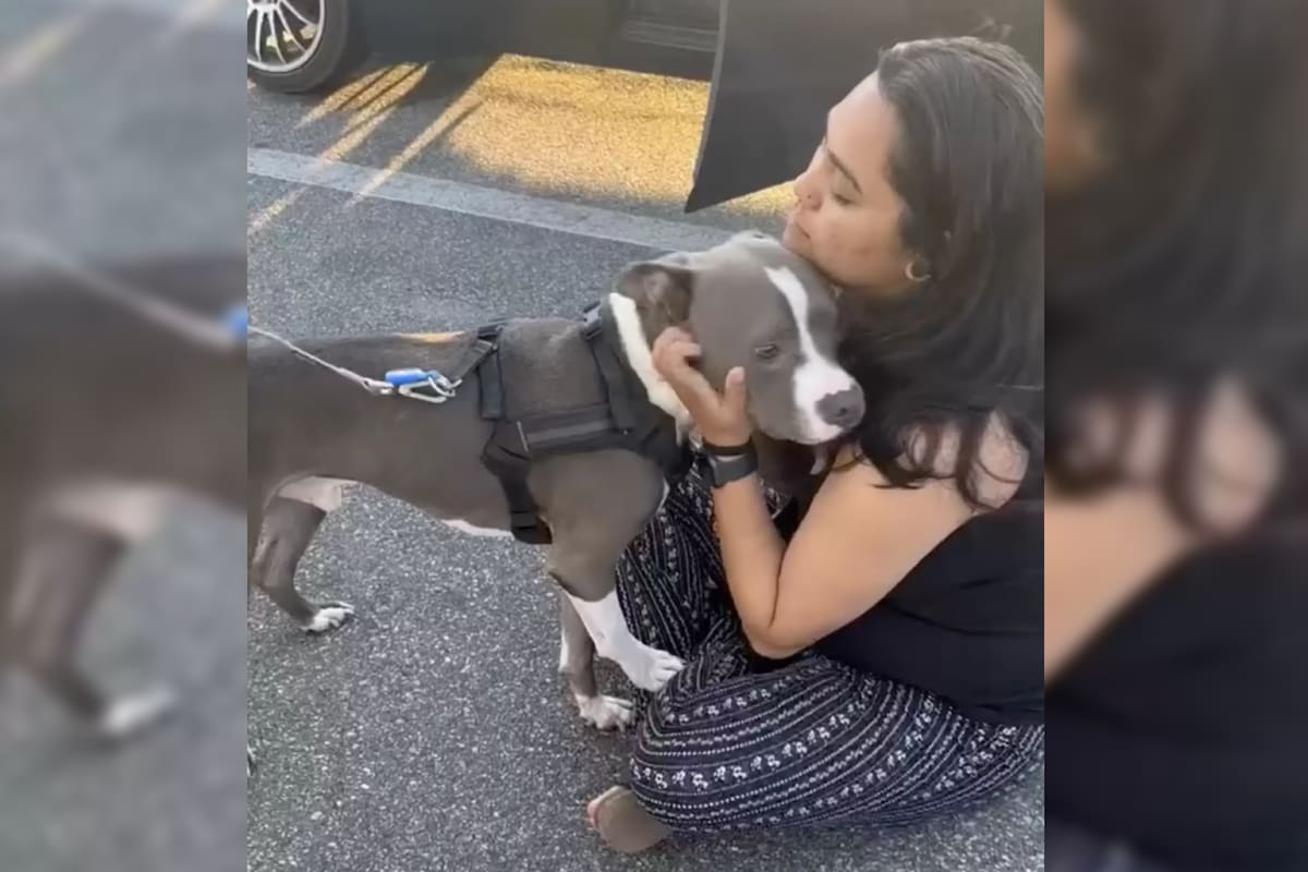 La dueña se reencontró con su perro gracias a un milagro