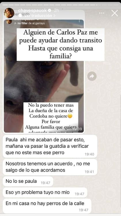 La dura respuesta de la propietaria al ver al perro en la casa