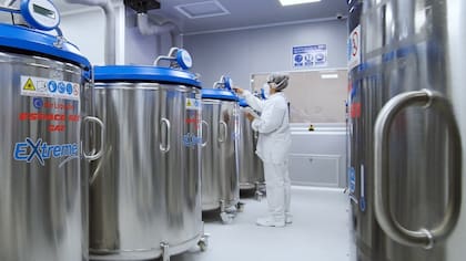 La duración del contrato para ambas empresas será de hasta 14 años