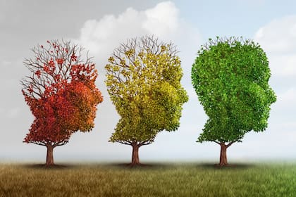 La duración del tratamiento de los problemas psicológicos variará necesariamente de un individuo a otro, destacan los profesionales de la American Psychological Association (APA)