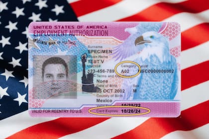 La EAD integra el sistema que regula el empleo permitido en Estados Unidos