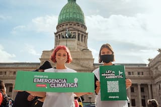 Ley de educación ambiental. Por qué es importante para las nuevas generaciones