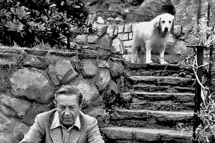 La edición de los Cuentos y las Cartas pone en foco a uno de los grandes escritores del siglo XX