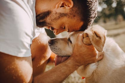 La educación es un ítem fundamental en los primeros años de vida de los perros
