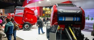 Crecerá en hasta 200.000 hectáreas un indicador que refleja el buen momento de las vacas