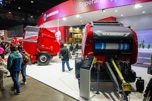 Crecerá en hasta 200.000 hectáreas una base clave para producir carne