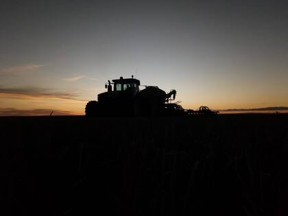 La elección de variedades, el escalonamiento de fechas y la planificación por ambiente fueron claves en una campaña marcada por la variabilidad climática