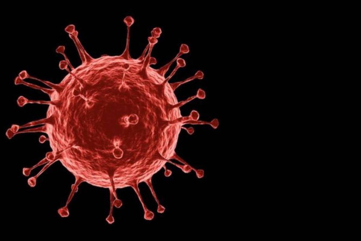 La elección del nombre de la nueva variante tomó por sorpresa a la comunidad científica