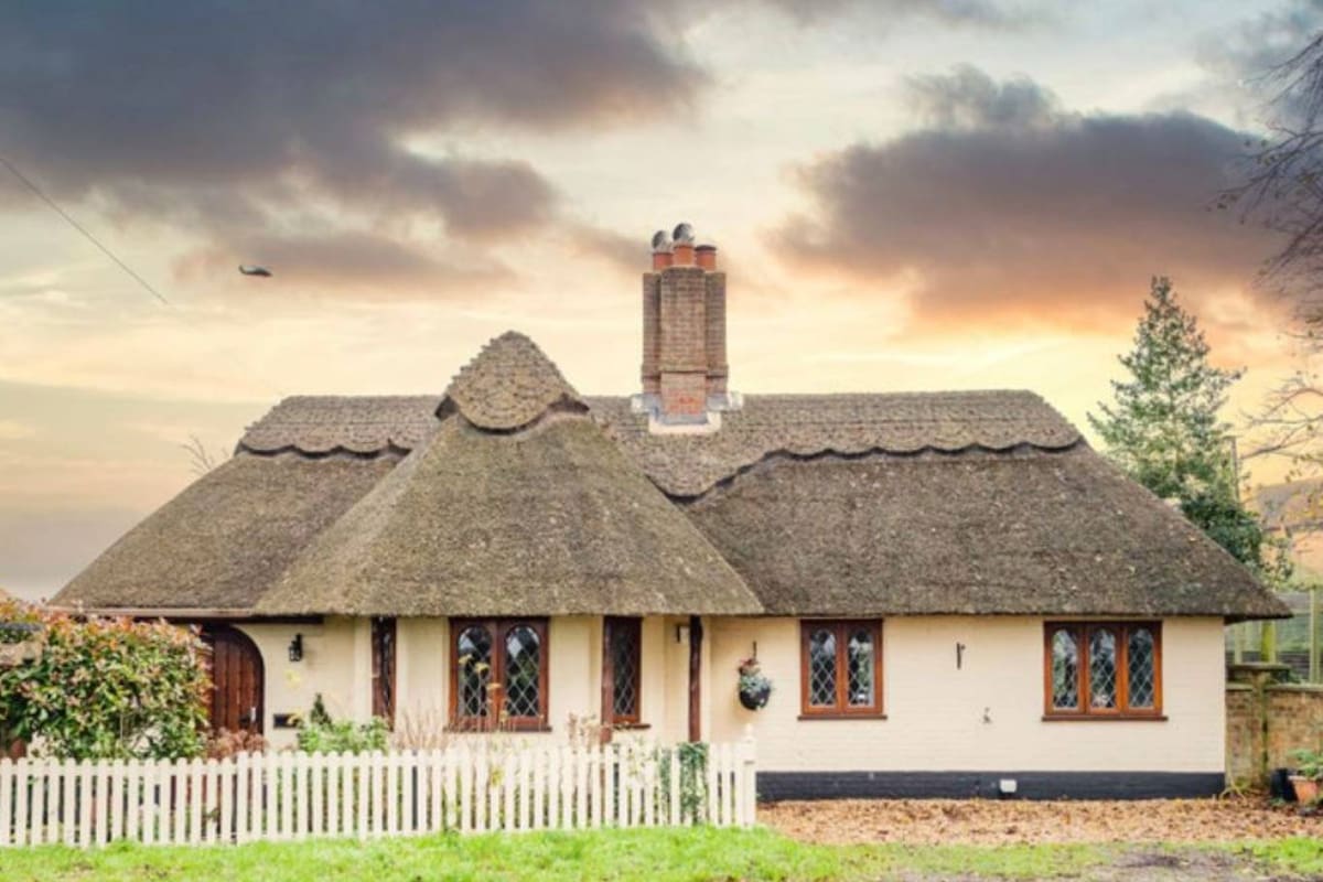 La elegante cabaña en un pequeño pueblo inglés linda con una reserva natural donde las estrellas son dos grandes felinos salvajes, que pueden verse desde el jardín trasero de la vivienda