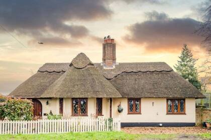 La elegante cabaña en un pequeño pueblo inglés linda con una reserva natural donde las estrellas son dos grandes felinos salvajes, que pueden verse desde el jardín trasero de la vivienda