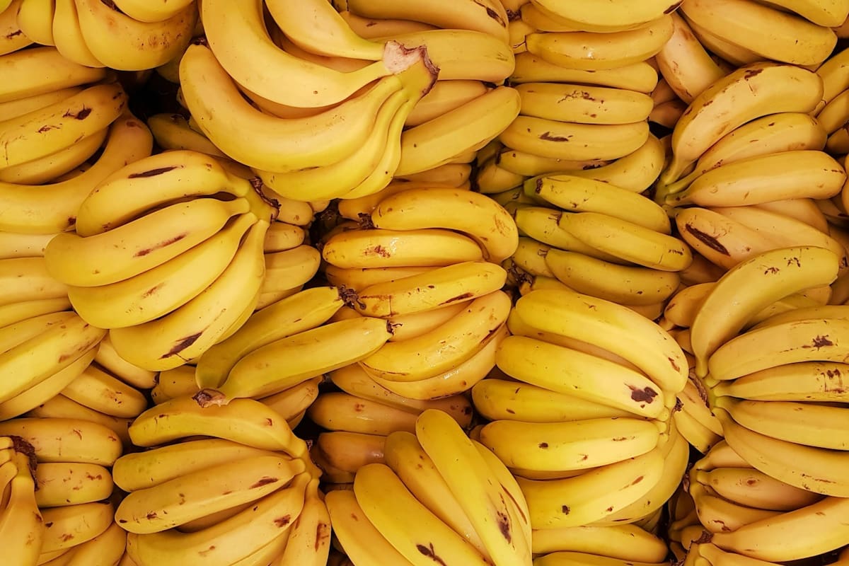 La eliminación de una histórica barrera para la banana desató un conflicto entre la Nación y las provincias del NOA