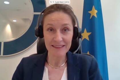 La embajadora de la UE en la Argentina Aude Maio-Coliche presentó hoy el programa en una videconferencia