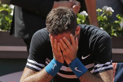 La emoción de Del Potro tras la victoria sobre Cilic