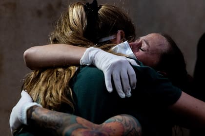 La emoción de las cuidadoras de la elefanta Mara durante el traslado