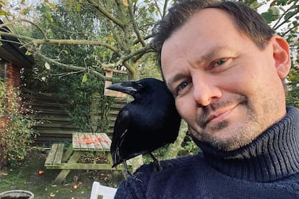 La emotiva historia de Klaus, el cuervo adoptado por humanos en Dinamarca