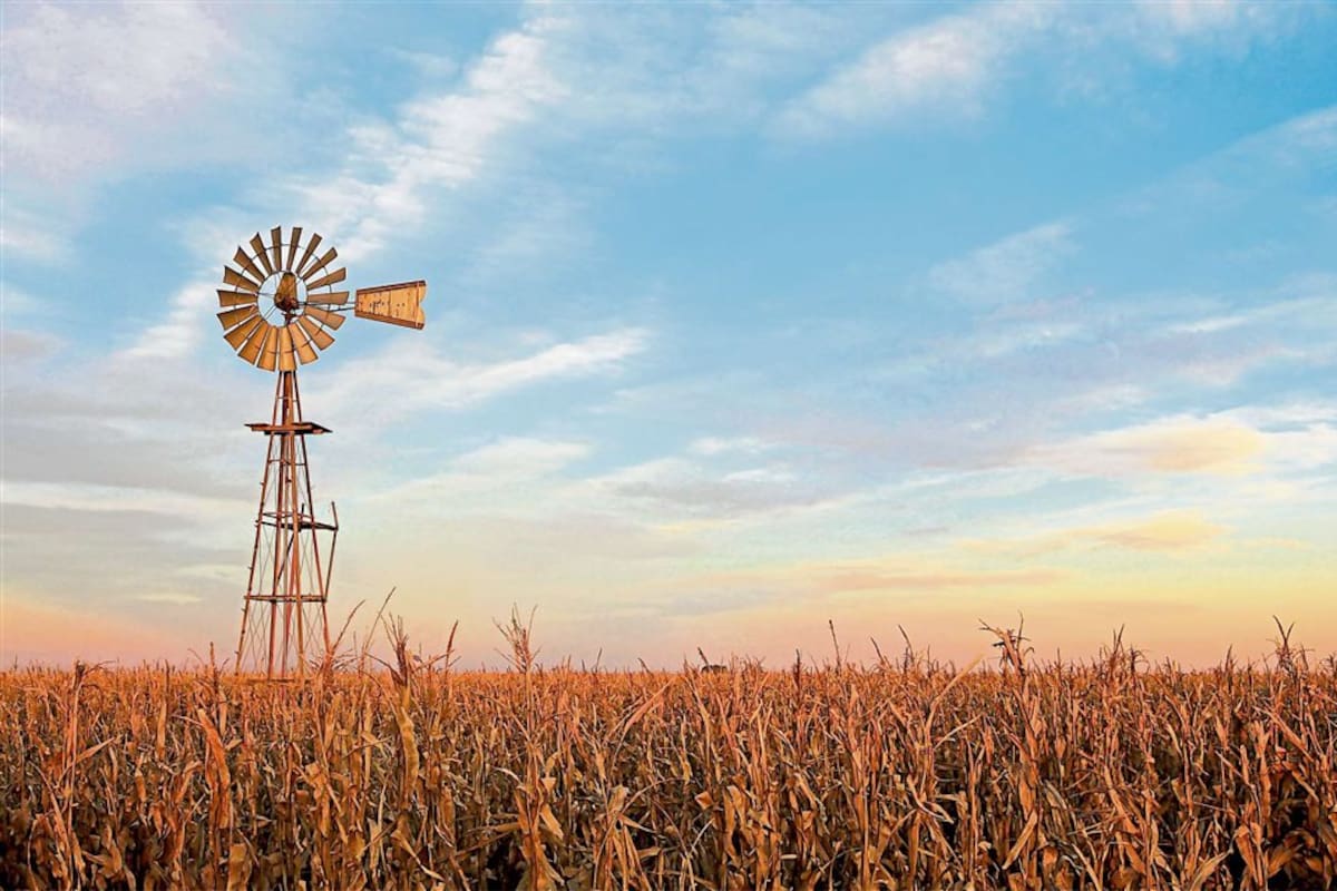 La empresa agropecuaria, con reglas específicas