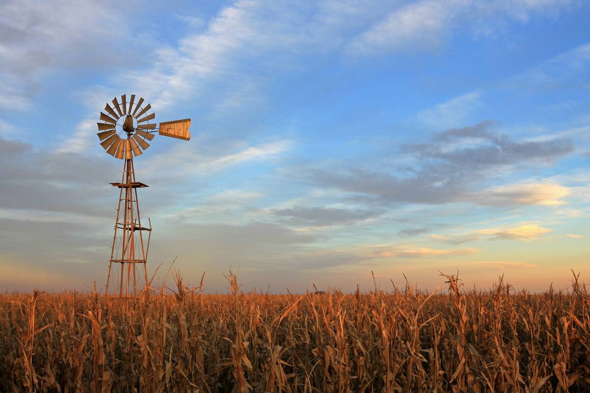La empresa agropecuaria, con reglas específicas